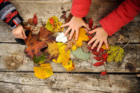 Programmes d’activités des mercredis de l’accueil Jean Jaurès secteur maternel – Période de novembre à décembre 2025